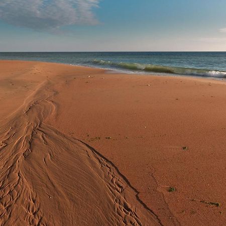 La Rose Allass Grand-Village-Plage Dış mekan fotoğraf