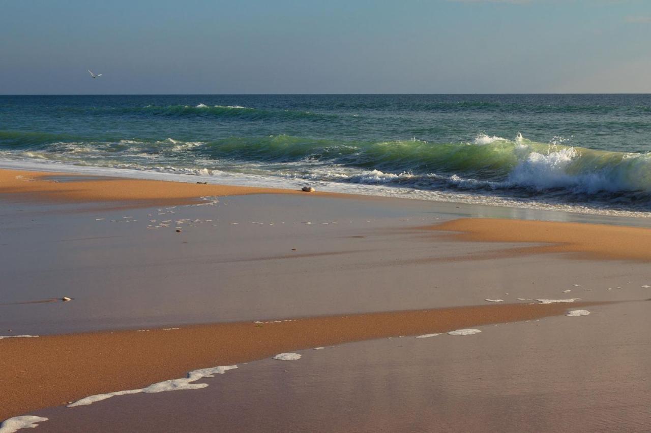 La Rose Allass Grand-Village-Plage Dış mekan fotoğraf