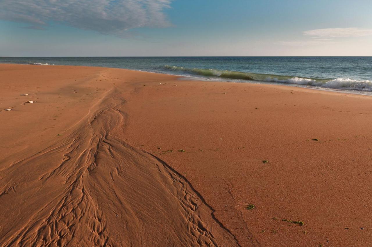La Rose Allass Grand-Village-Plage Dış mekan fotoğraf